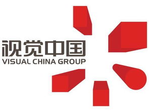 视觉中国公布上半年财报 营收4亿 同比下降16